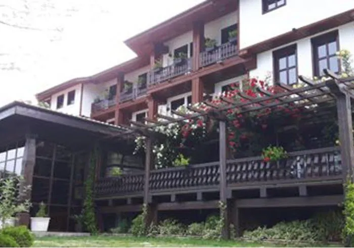 Hotel Glavatarski